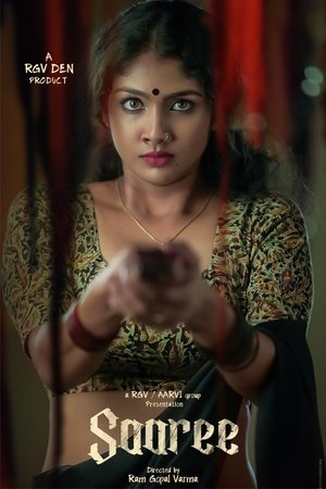 Saaree (2025) WEBRIP Hindi (MULTI AUDIO) 720p – 480p – 1080p