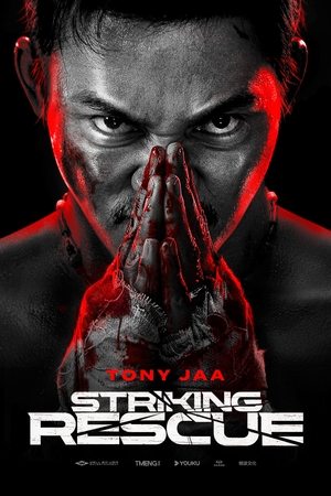 Striking Rescue (2024) WEBRIP Hindi (MULTI AUDIO) 720p - 480p - 1080p